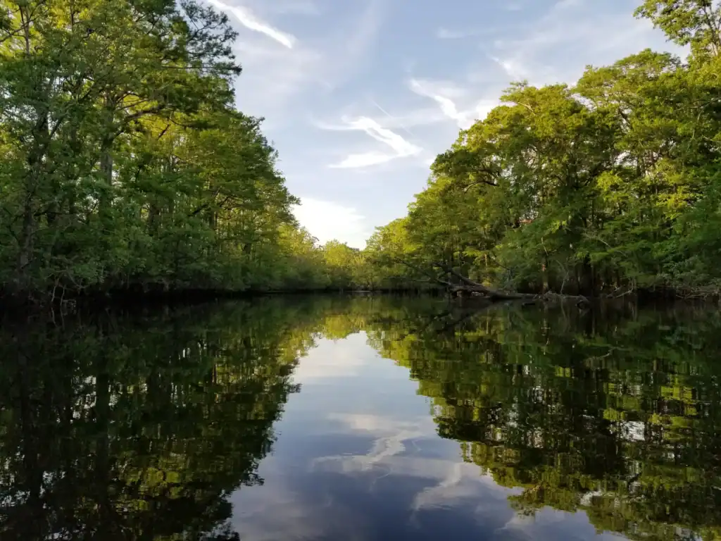 Black river, the namesake of Black River Secure, a managed IT services company in Fuquay-Varina.